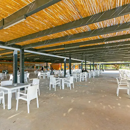 Paradise Town Legend