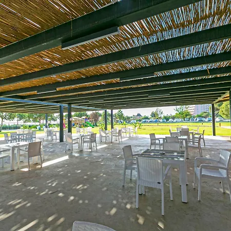 Paradise Town Legend *