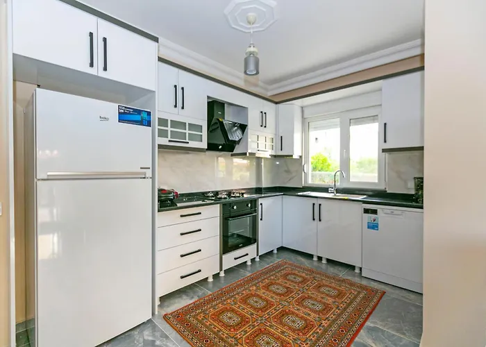 Paradise Town Legend *