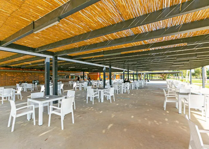 Paradise Town Legend