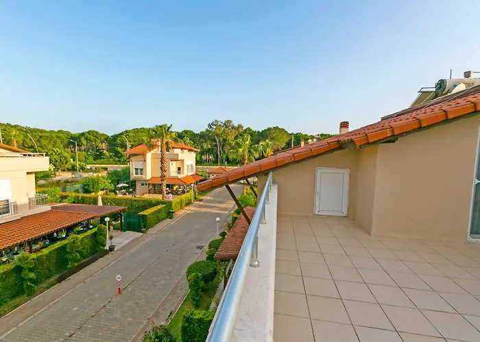 Willa Paradise Town Legend