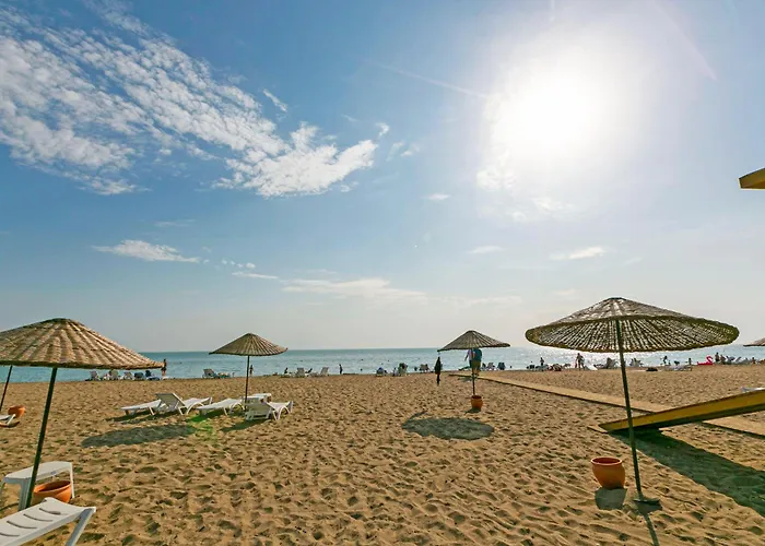 Paradise Town Legend