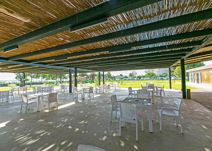 Paradise Town Legend *