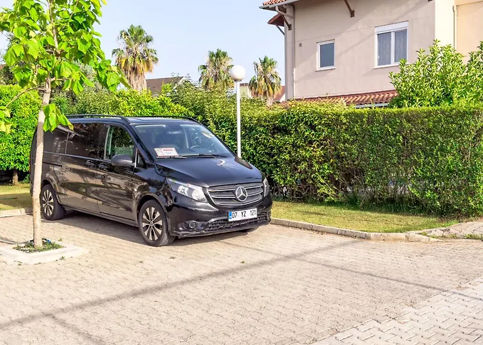 Paradise Town Legend *