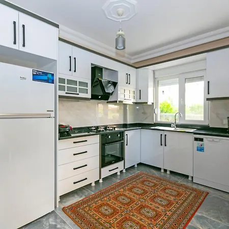 Paradise Town Legend *