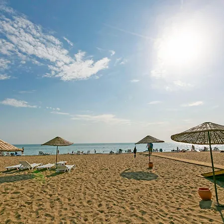 Paradise Town Legend