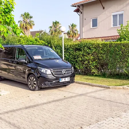 Paradise Town Legend *